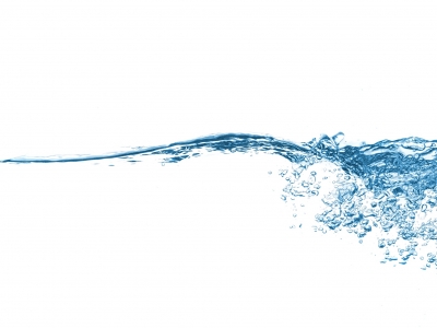 Die Rolle der Toxin- Ausscheidungsorgane