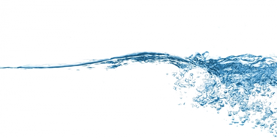 Die Rolle der Toxin- Ausscheidungsorgane