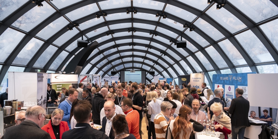 Dem Schmerz auf der Spur