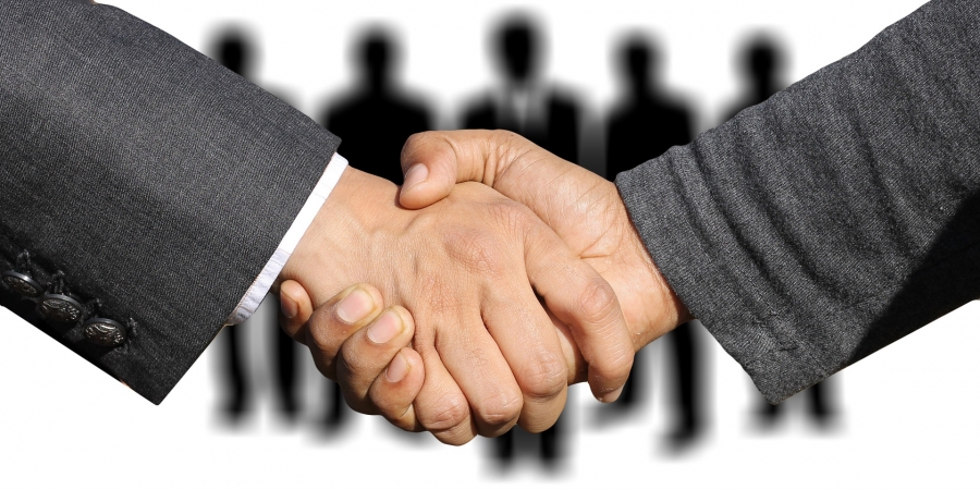 Regeneration mit Genki Vital