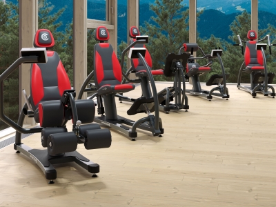 Ein Kraftzirkel für Therapie und Training