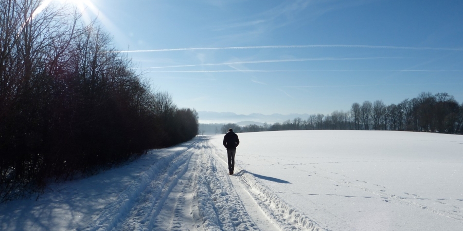 Zukunftsmarkt Diabetes