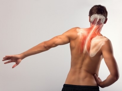 EMS-RÜCKEN AUFBAUKURS