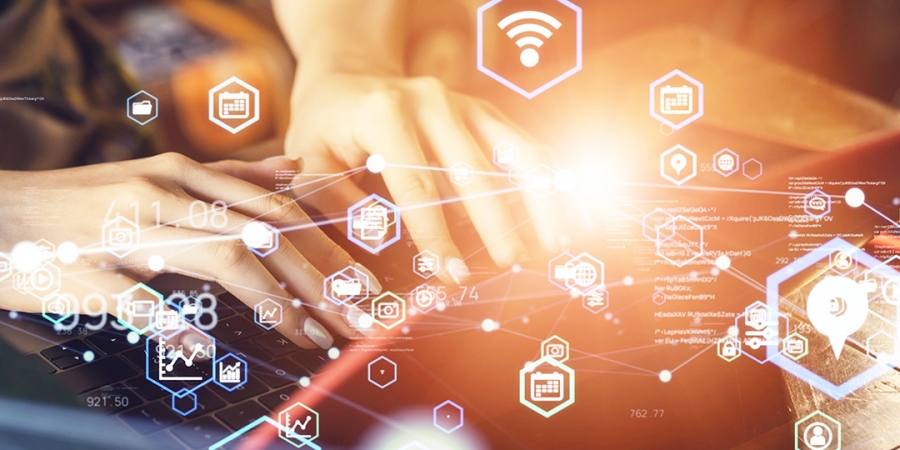 Zwei besondere Highlights