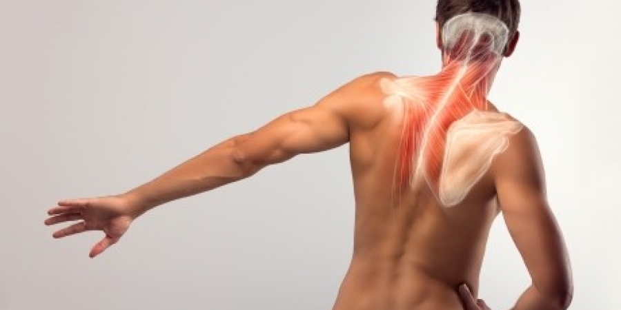 EMS-RÜCKEN AUFBAUKURS