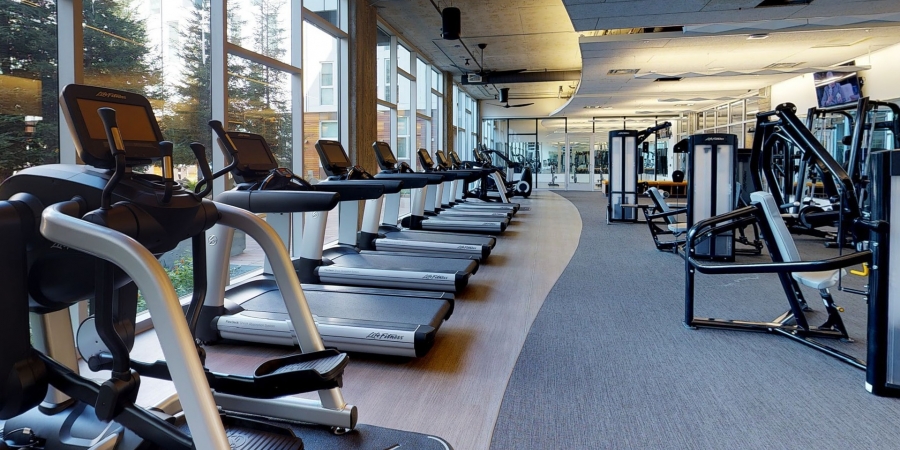 Deutscher Fitnessmarkt erholt sich 2022