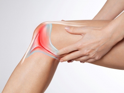 Der sensible Stoßdämpfer