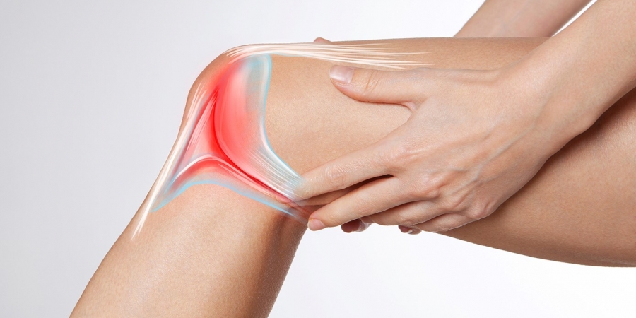 Der sensible Stoßdämpfer