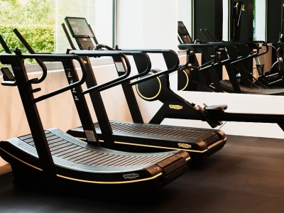 Therapie und Training mit den Profis