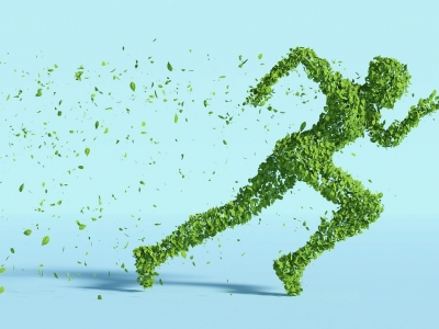 Ein Trend mit Zukunft!?