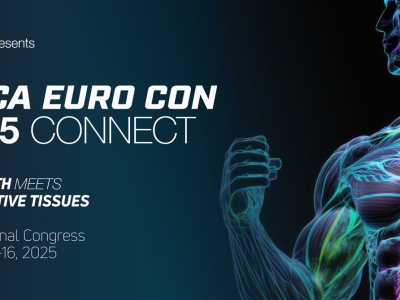 Interdisziplinärer und internationaler Austausch