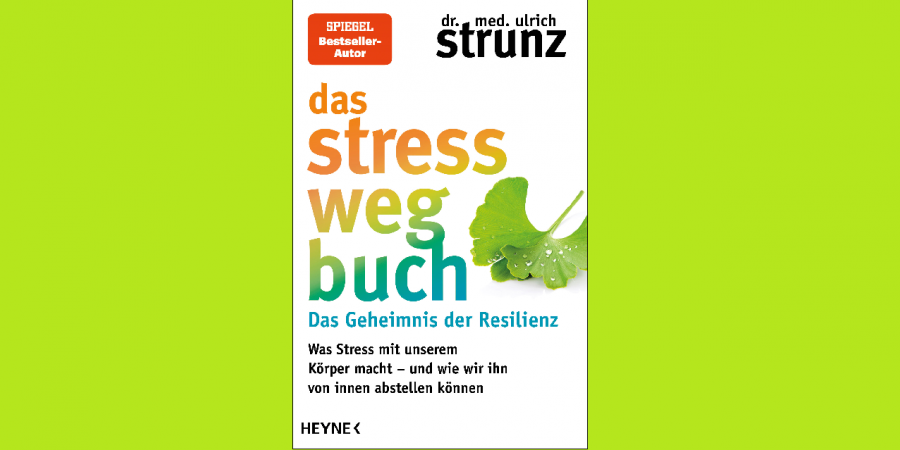 Mehr Resilienz für weniger Stress