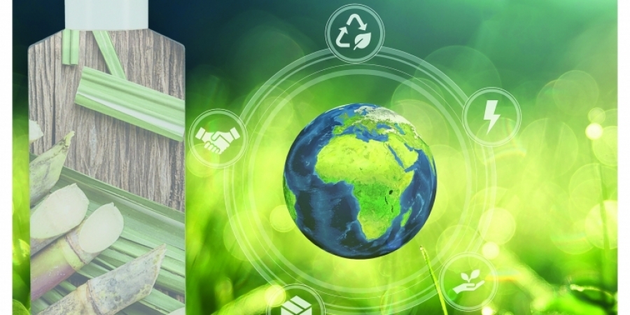 SCHUPP setzt auf Nachhaltigkeit