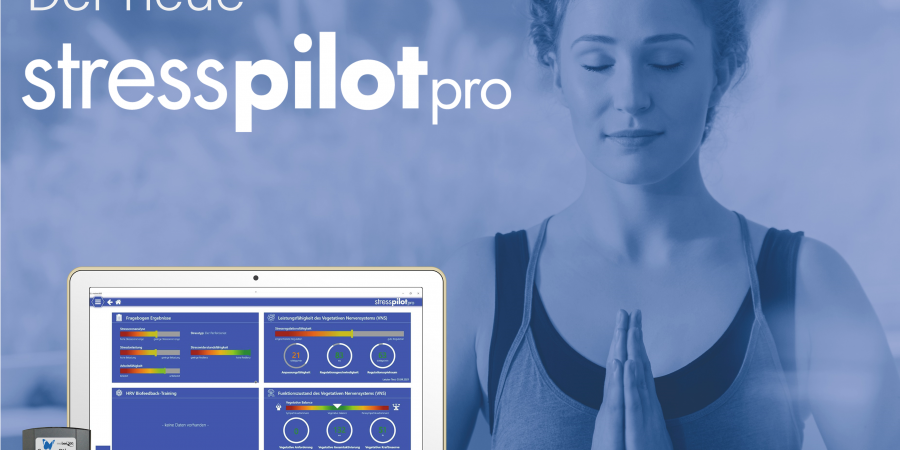Stressanalyse für professionelles Stressmanagement