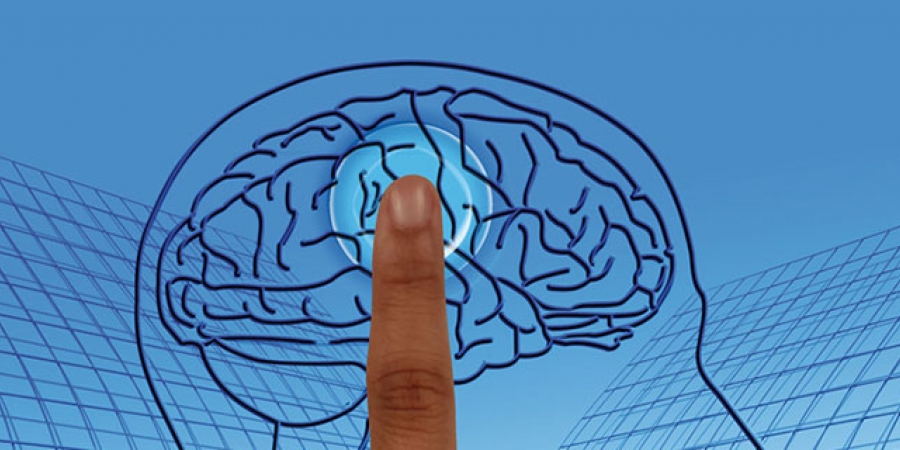 Unser analoges Hirn in digitalen Zeiten