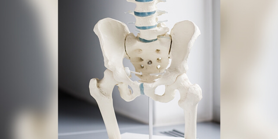 Zusammenarbeit von FPZ und BIG direkt gesund 